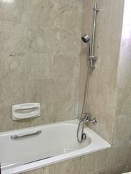 Carissa Park Condominium (D17), Condominium #153749242